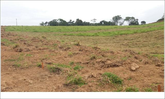 Terrenos a Venda próximo a cidade de São Roque -SP - Foto 2