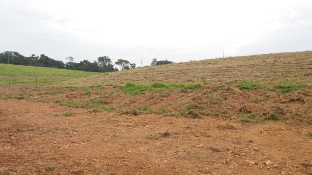 Terrenos Rurais, Ótima Topografia - Foto 6