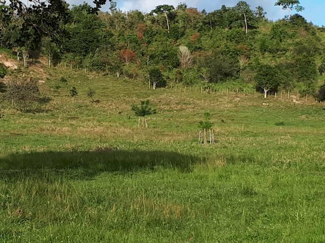 Fazenda em Mata de São João-Ba - Foto 5
