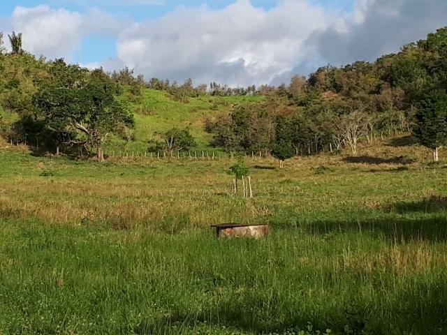Fazenda em Mata de São João-Ba - Foto 2