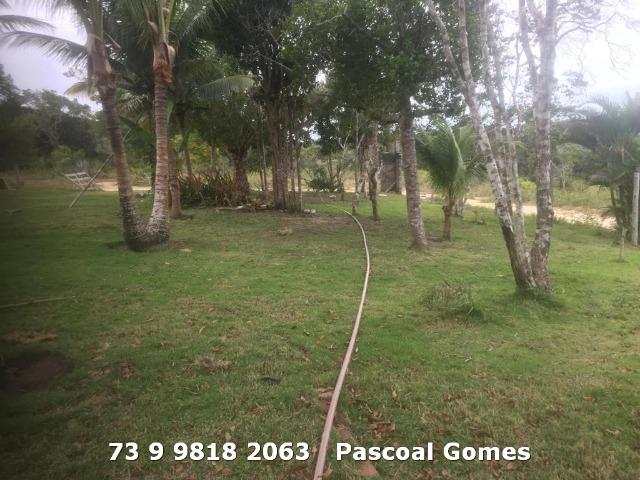 Sitio 3000m2 - Foto 6
