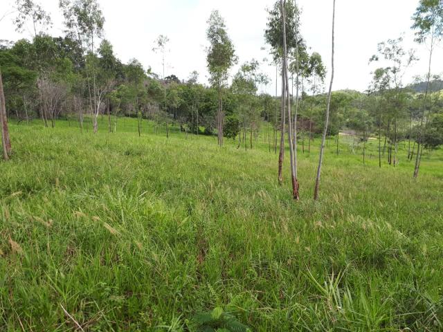 Fazenda em Mata de São João-Ba - Foto 4