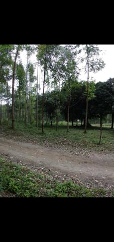 Terreno - Foto 7