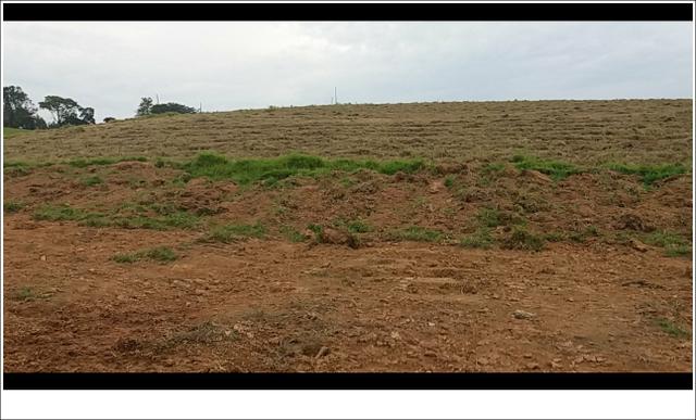 Terreno 100% planos - Foto 3