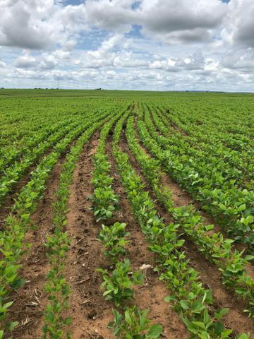Fazenda em Balsas - Foto 5