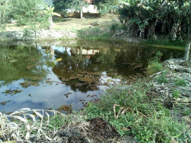 Chácara Santa Teresa - Parcelas de 800 mensais!! - Foto 9