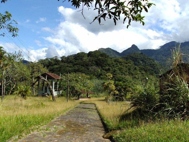 Guapimirim Sítio com 12 Alqueires e com 03 lagos e 03 Nascentes - Foto 6