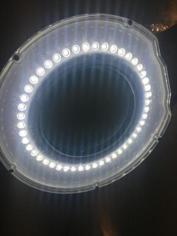 Lupa - Foto 4
