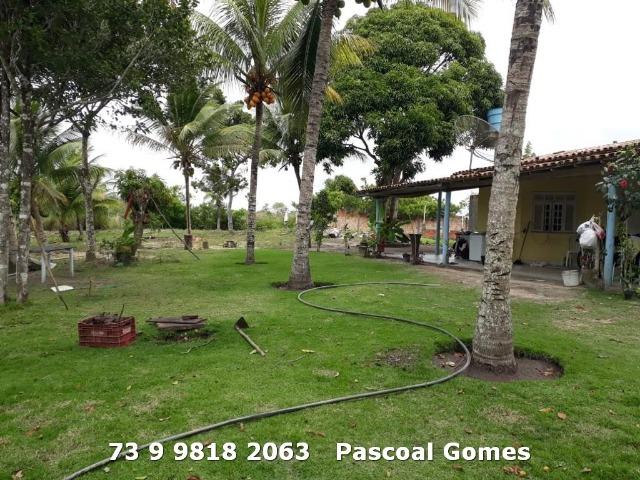 Sitio 3000m2 - Foto 10