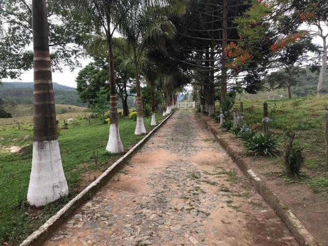 Excelente fazenda 86 ha - Foto 14