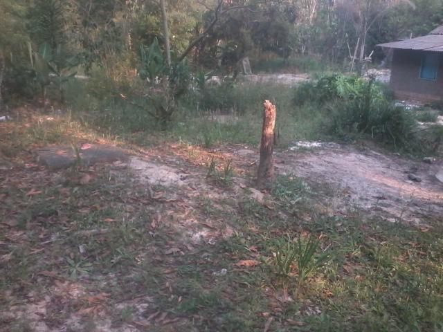 Terreno plaino - Foto 2