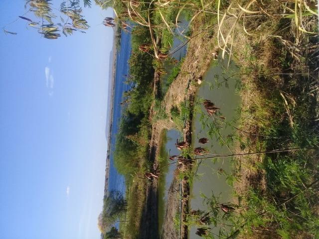 Uma chácara beira-rio 10mt quadrado - Foto 8