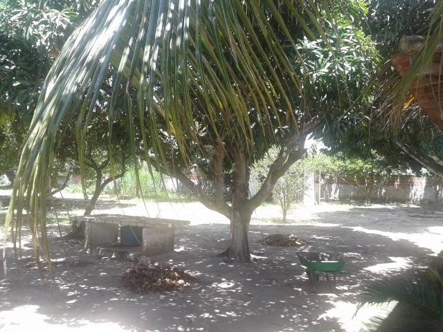 Granja em tapara com casa, mais 6 dormitórios, área lazer com piscina - Foto 19