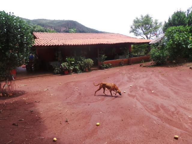Fazenda 15 Alqueires Municipio Cocalzinho Aceita Imovel até 200 mil - Foto 5