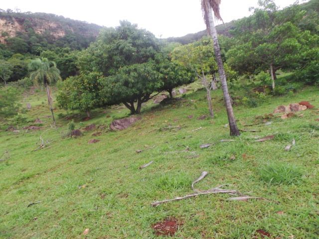 Fazenda 15 Alqueires Municipio Cocalzinho Aceita Imovel até 200 mil - Foto 14