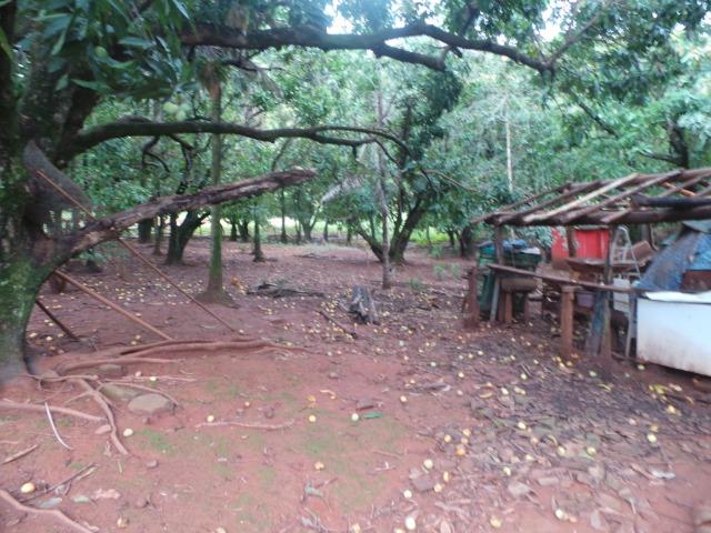 Fazenda 15 Alqueires Municipio Cocalzinho Aceita Imovel até 200 mil - Foto 12