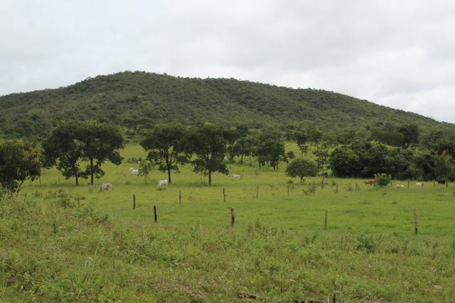 Fazenda 22 Alqueires Municpio Cocalzinho Aceita 50% em Trama em Goiania - Foto 9