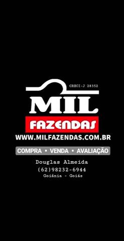 Fazenda em Cana - Edeia / Porteirão - GO - Foto 2