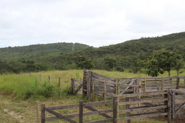 Fazenda 22 Alqueires Municpio Cocalzinho Aceita 50% em Trama em Goiania - Foto 8