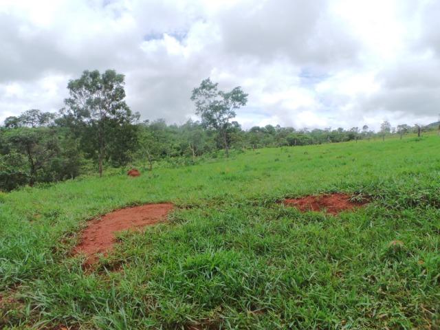 Fazenda 15 Alqueires Municipio Cocalzinho Aceita Imovel até 200 mil - Foto 4