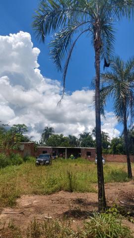Vende-se um rancho - Foto 4