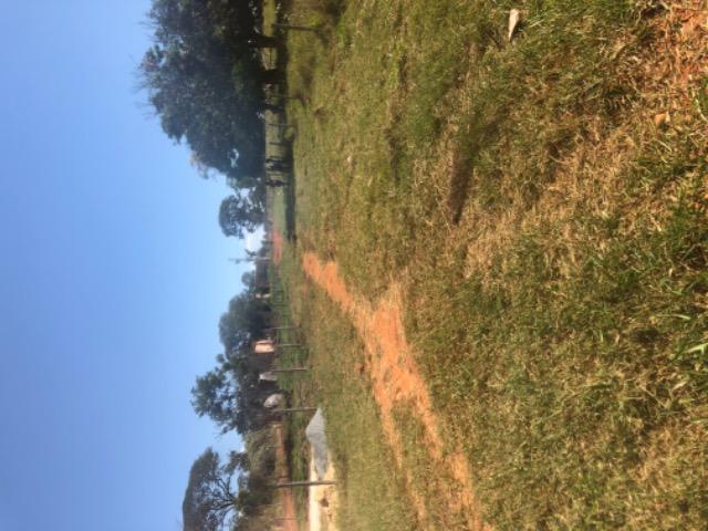 Chácara a Beira da Represa de Três Marias - Foto 4
