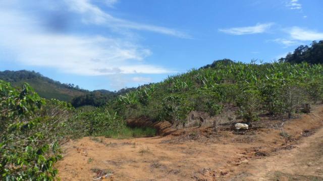 Estou vendendo ótimo terreno muito bom tem água lugar bom sinal telefon - Foto 12