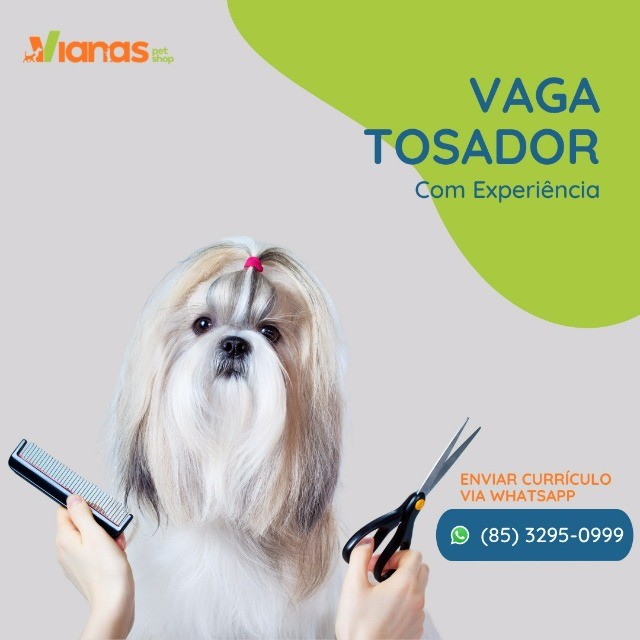 Tosador (com experiência)  (Eusébio/Fortaleza)