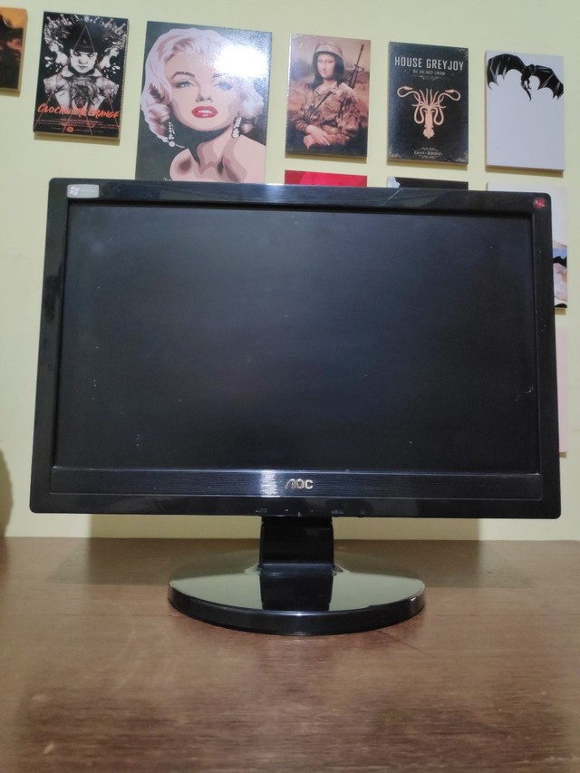 Monitor PC 16'