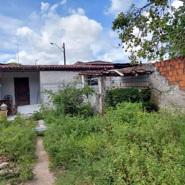 VILLAGE 20X50 EM RUA ASFALTADA  - Foto 2