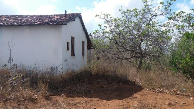 Ótima propriedade, escriturada, de 6 hectares, rica em frutas, em Glória do Goitá-PE