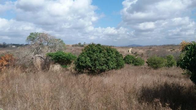 Ótima propriedade, escriturada, de 6 hectares, rica em frutas, em Glória do Goitá-PE - Foto 2