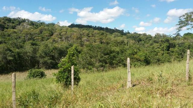 Cidade ilhéus região Japu, Sitio 72 hectares - Foto 10