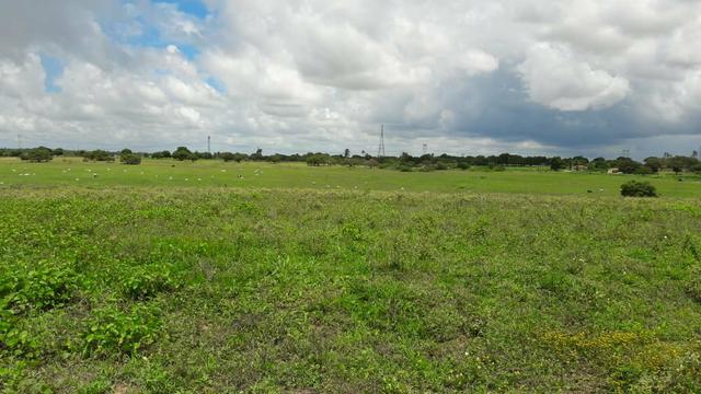 Fazenda com 170 hectares na região de monte alegre - Foto 14