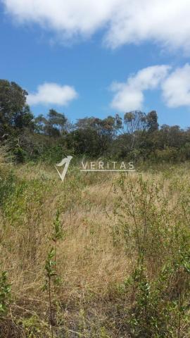 Amplo terreno - povoado de capãozinho - mucugê - Foto 2