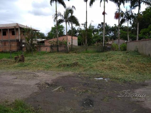 Terreno à venda, 260 m² por R$ 40.000 - Sítio do Campo - Morretes/PR - Foto 7