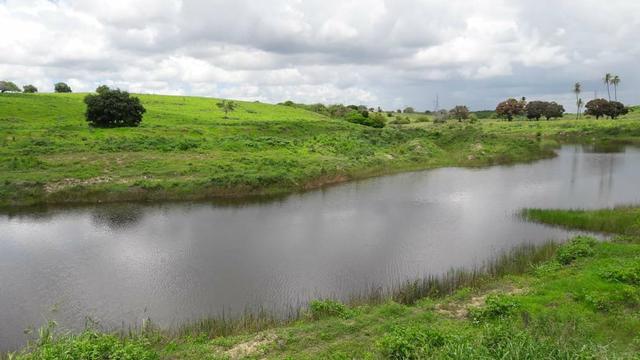 Fazenda com 170 hectares na região de monte alegre - Foto 18