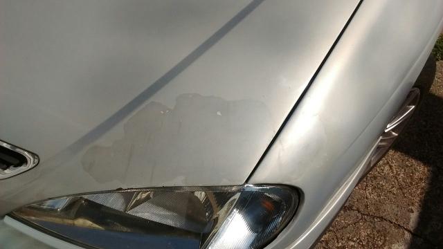 Megane barbada - Foto 8