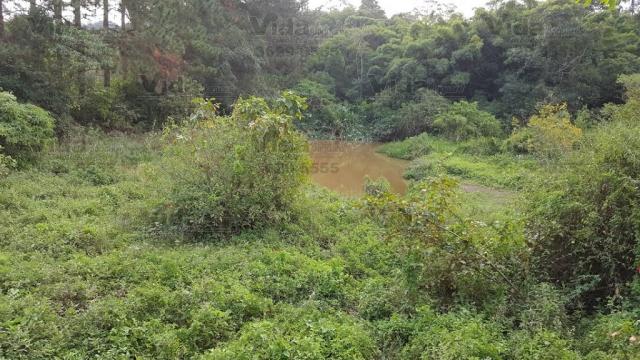 Chácara rural à venda, vila belmira, itapevi - ch0010. - Foto 18