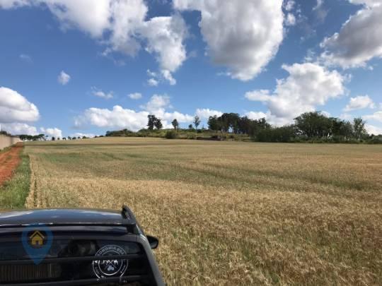 Alugue sítio de 48400 m² (esperança, londrina-pr) - Foto 8