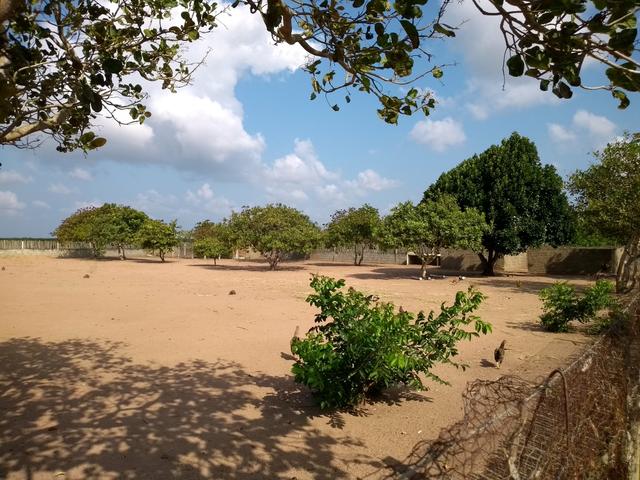 Excelente Sítio na Zona Rural de São José de Mipibu - Foto 2