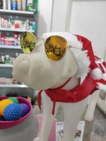 Óculos Pet - Foto 3