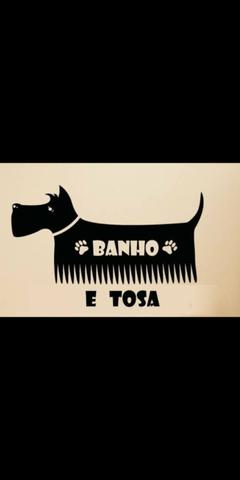 Arrendo Banho e Tosa
