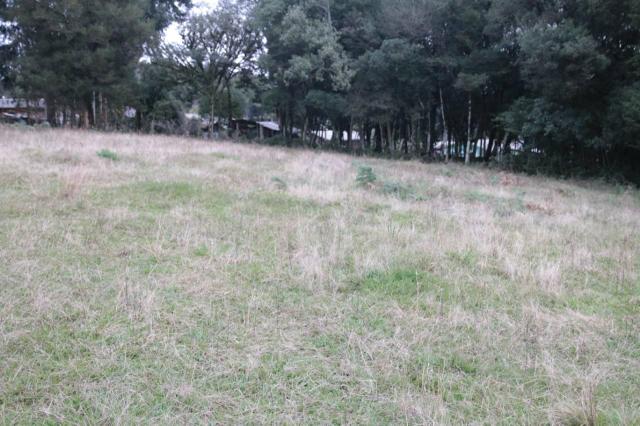 Terrenos em fazenda souza