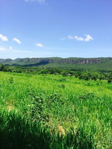 Fazenda em Rosario Oeste - 457ha - Foto 11