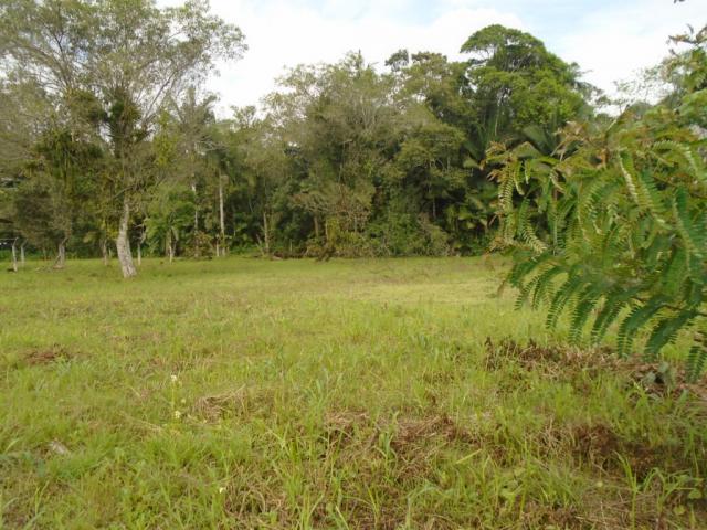 Terreno para alugar em Pirabeiraba, Joinville cod:00444.008 - Foto 9