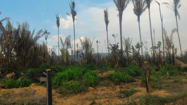 Terra Boa para criação de gado - Foto 5