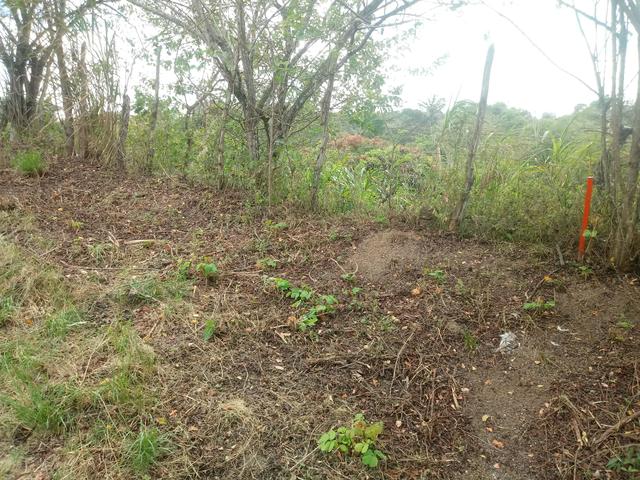 Terreno - Foto 7
