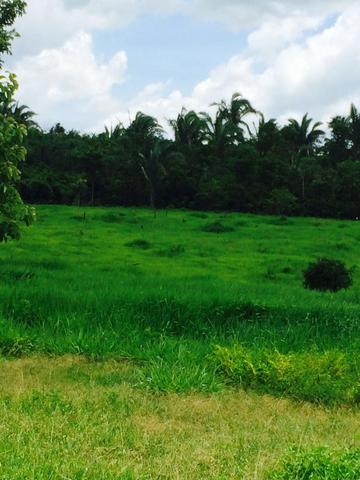Fazenda em Rosario Oeste - 457ha - Foto 3