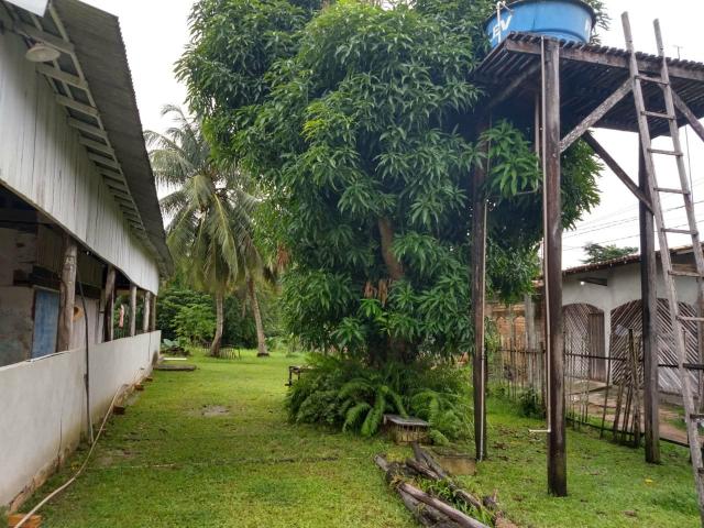 Vendo Alugo Sítio em Abaetetuba - Foto 3